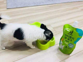 때유니님이 올린 리뷰 사진 2
