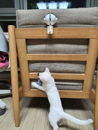 엔제루님이 올린 리뷰 사진 3