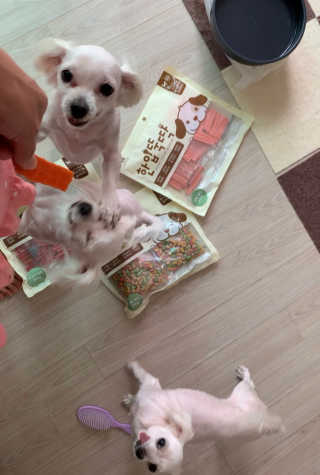 이끌림님이 올린 리뷰 사진 3