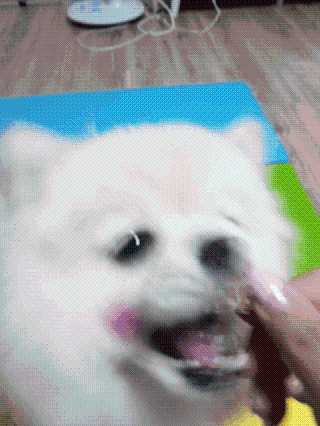 뚱이땅콩맘님이 올린 리뷰 사진 4