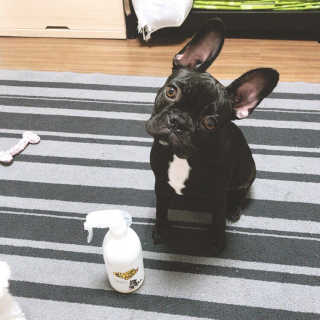 miseulsong님이 올린 리뷰 사진 2