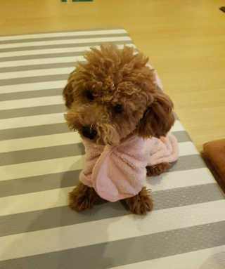 진리뷰님이 올린 리뷰 사진 2