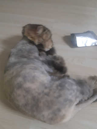하스님이 올린 리뷰 사진 3