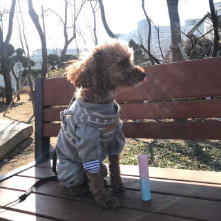 마시밀레 보드레밤 — 5점을 준 리뷰어가 2019년 1월 올린 사용 사진