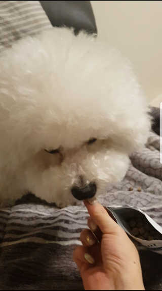 쏭님이 올린 리뷰 사진 3