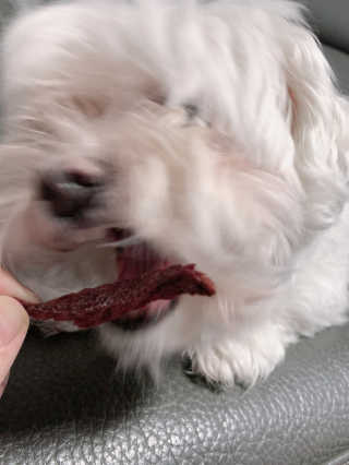 으니부기님이 올린 리뷰 사진 2