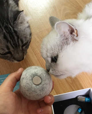 융융이님이 올린 리뷰 사진 1