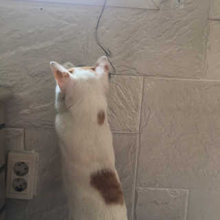 ㄴ모오러님이 올린 리뷰 사진 3