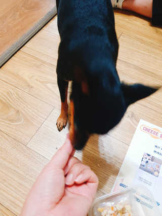 써니짱님이 올린 리뷰 사진 1