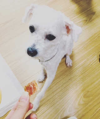 구보리님이 올린 리뷰 사진 3