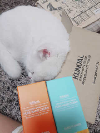 논지님이 올린 리뷰 사진 1