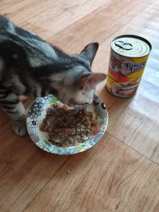 이승규님이 올린 리뷰 사진 1