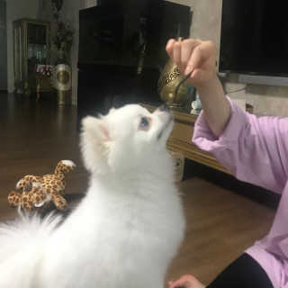 rtzd님이 올린 리뷰 사진 2