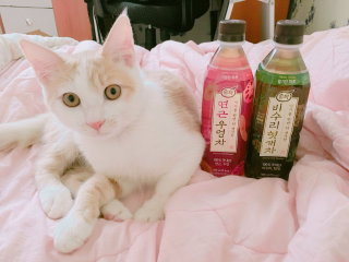 가든박님이 올린 리뷰 사진 2