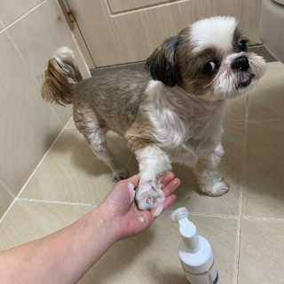 persona님이 올린 리뷰 사진 3