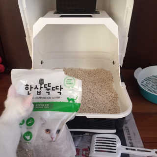 [펫토리아] BEST 고양이두부모래 6L 한삽뚝딱 — 5점을 준 리뷰어가 2019년 1월 올린 사용 사진