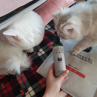 Hyojician님이 올린 리뷰 사진 2