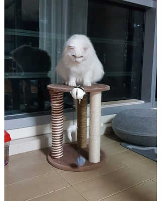 으하하하하님이 올린 리뷰 사진 3