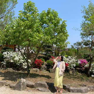 박블링님이 올린 리뷰 사진 4