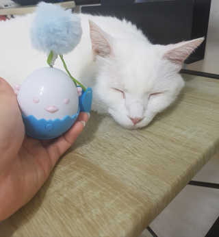 IS2UL님이 올린 리뷰 사진 2