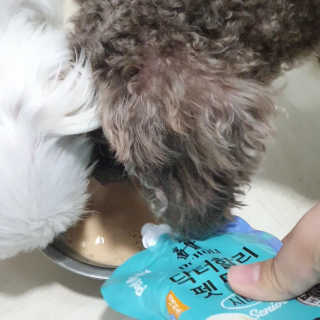 닥터할리펫밀크 8종 — 4점을 준 리뷰어가 2020년 1월 올린 사용 사진