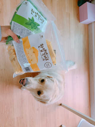 [펫토리아] BEST 한입뚝딱 실속형 강아지 덴탈껌 — 5점을 준 리뷰어가 2019년 2월 올린 사용 사진