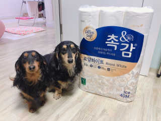 조호이님이 올린 리뷰 사진 1