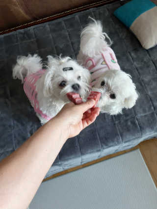 부산댁님이 올린 리뷰 사진 1