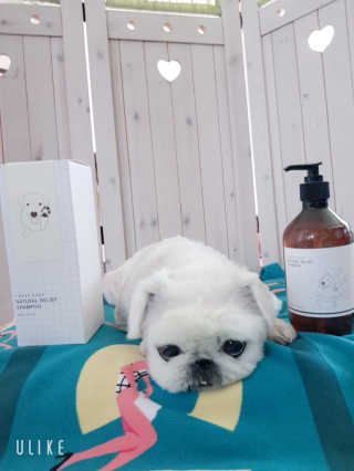 SeRyeonfit님이 올린 리뷰 사진 4