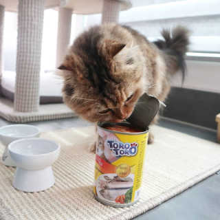 byyooom님이 올린 리뷰 사진 4