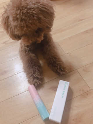 토끼줌마님이 올린 리뷰 사진 4