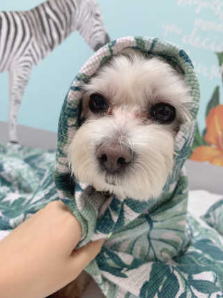 챔미님이 올린 리뷰 사진 4