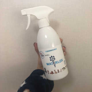 예자님이 올린 리뷰 사진 2