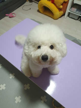heeee님이 올린 리뷰 사진 3