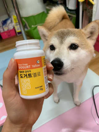 라미라미님이 올린 리뷰 사진 3