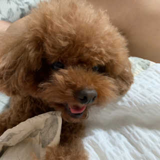 구정민내꺼님이 올린 리뷰 사진 4
