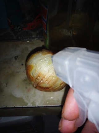 StephanieLove님이 올린 리뷰 사진 1