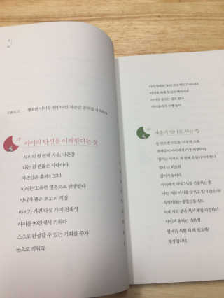 로엘맘님이 올린 리뷰 사진 2