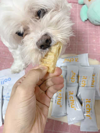 으니부기님이 올린 리뷰 사진 1