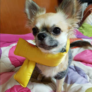 라임님이 올린 리뷰 사진 4