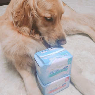 아보카도올리브님이 올린 리뷰 사진 1