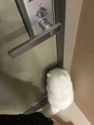 sd0816님이 올린 리뷰 사진 3