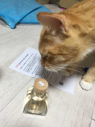 오!마이실리 오마이실리 반려동물 디퓨저 — 4.33점을 준 리뷰어가 2018년 6월 올린 사용 사진