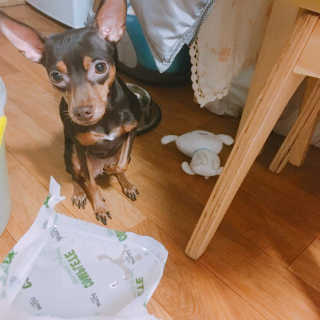 Andy님이 올린 리뷰 사진 1