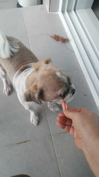 보리엄마님이 올린 리뷰 사진 1