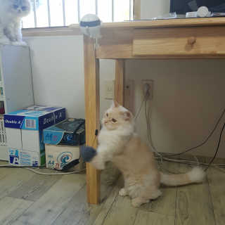 mkyung_c님이 올린 리뷰 사진 1