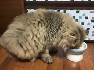 하린님이 올린 리뷰 사진 2