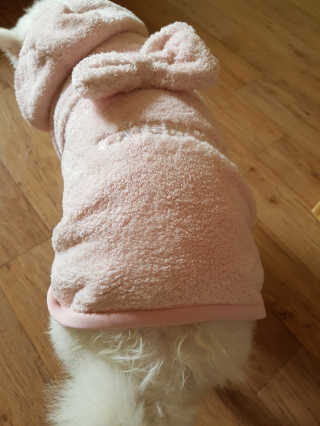 진진님이 올린 리뷰 사진 4