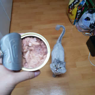 나랭그님이 올린 리뷰 사진 2