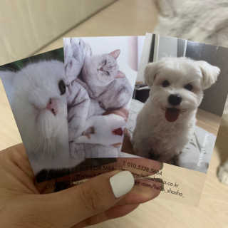 헬로샤샤님이 올린 리뷰 사진 3